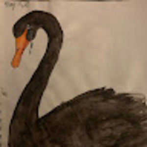 Meet your Posher, Fernanda